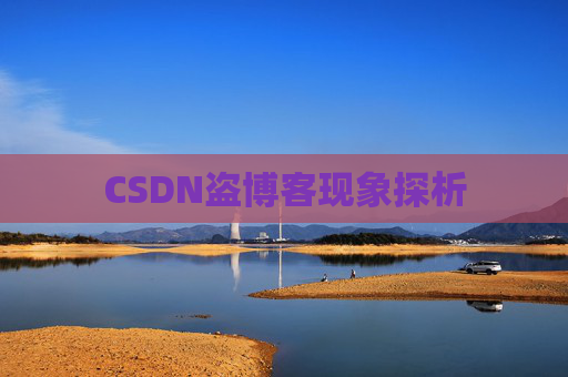 CSDN盗博客现象探析